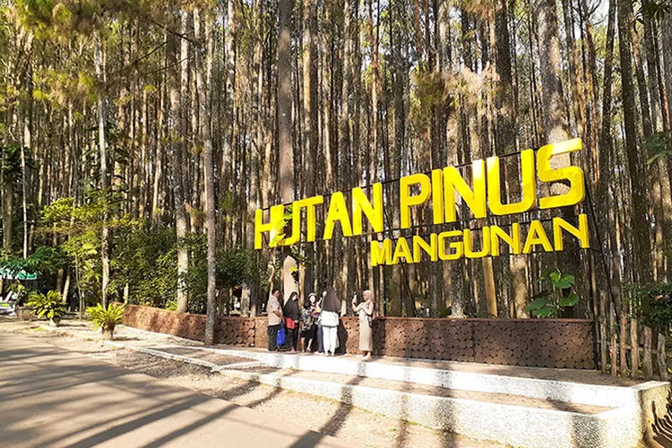 SMAN 1 DOLOK SANGGUL MEMPERINGATI HARI GURU DENGAN HIKMAT DAN MENTAATI ... SMAN 1 DOLOK SANGGUL MEMPERINGATI HARI GURU DENGAN HIKMAT DAN MENTAATI ...