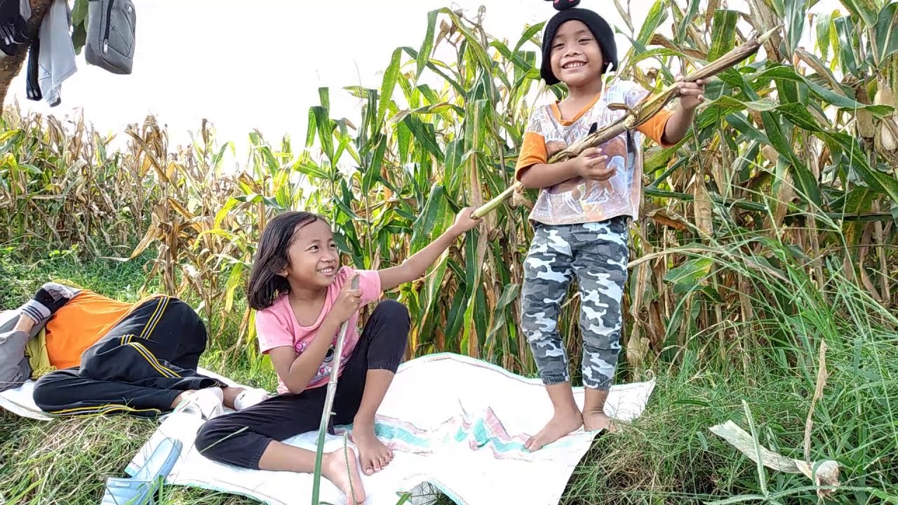 Libur, Anak-anak Bermain di Sawah - HARIAN SEMARANG - Education