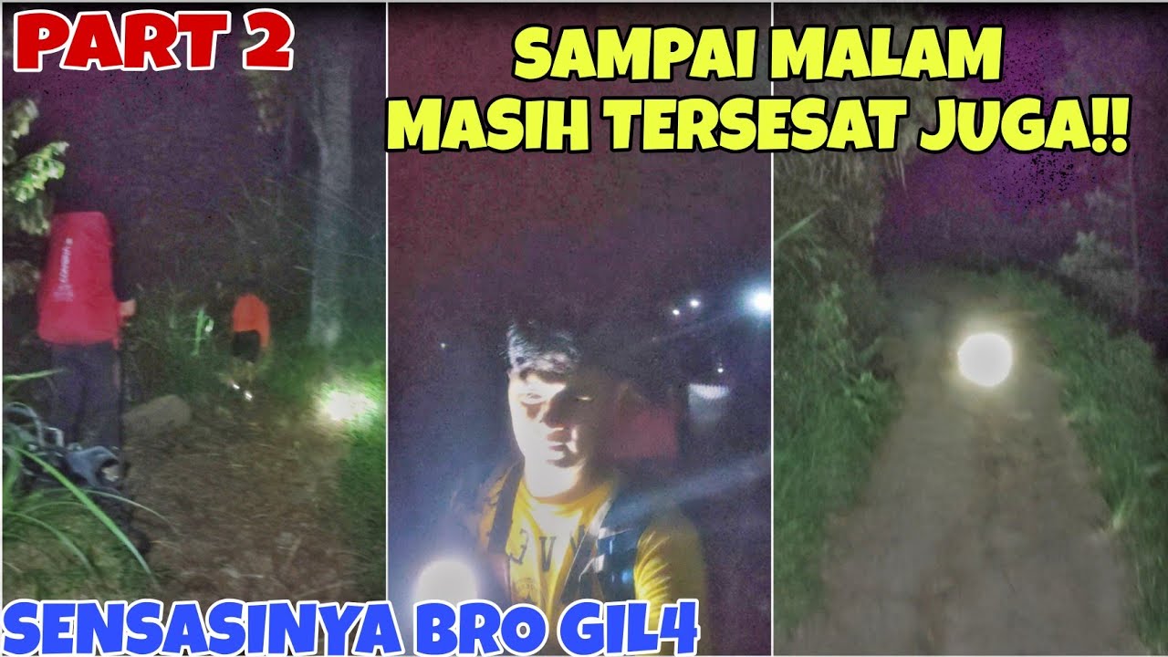 Suara Langkah di Hutan Mangkai Baru Saat Tengah Malam
