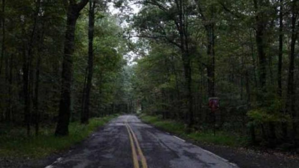 Jalan Tuntungan Jalan Suka Damai Dikenal Angker Sejak 1987 Kisah Mistis yang Melegenda