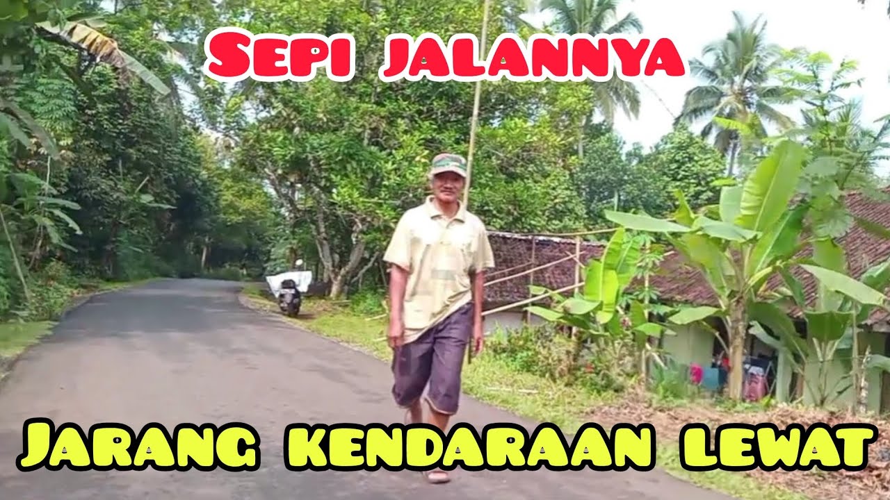 Jalan sepi Ujung Serdang Jalan Persatuan Labirin Malam yang Memukau